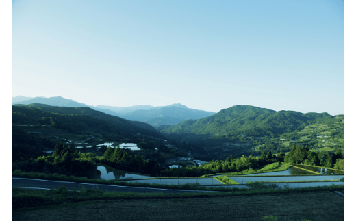 【土佐野菜】旬の野菜の詰め合わせと栽培期間中に農薬不使用の生姜100g付き