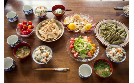 『定期便』全6回【土佐野菜】旬の野菜詰め合わせ10～13品目 