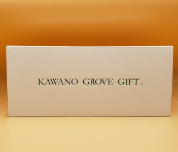 高知県土佐市産 Konatsu Drink KD 20％ 160ml (6本入) ジュース 小夏 柑橘 果汁100％ 無添加 