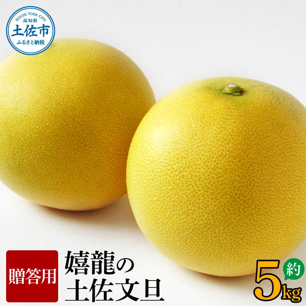 【先行予約】嬉龍の土佐文旦　贈答用　2～3Ｌサイズ　約5kg〈2027年1月中旬〜発送〉【嬉龍】