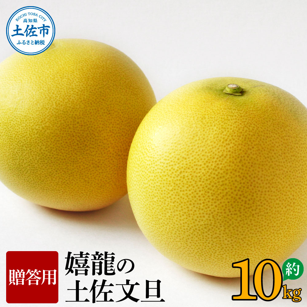 【先行予約】嬉龍の土佐文旦　贈答用　2～3Ｌサイズ　約10kg〈2027年1月中旬〜発送〉【嬉龍】