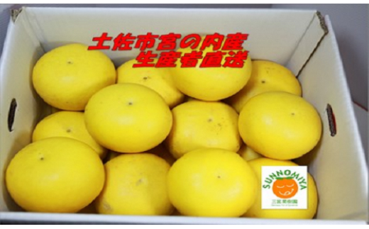 三宮果樹園の土佐文旦 家庭用５Kg 