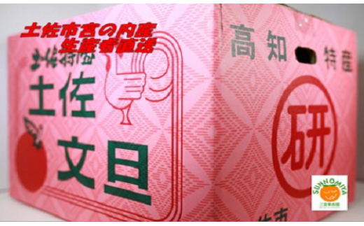 三宮果樹園の土佐文旦 家庭用５Kg 