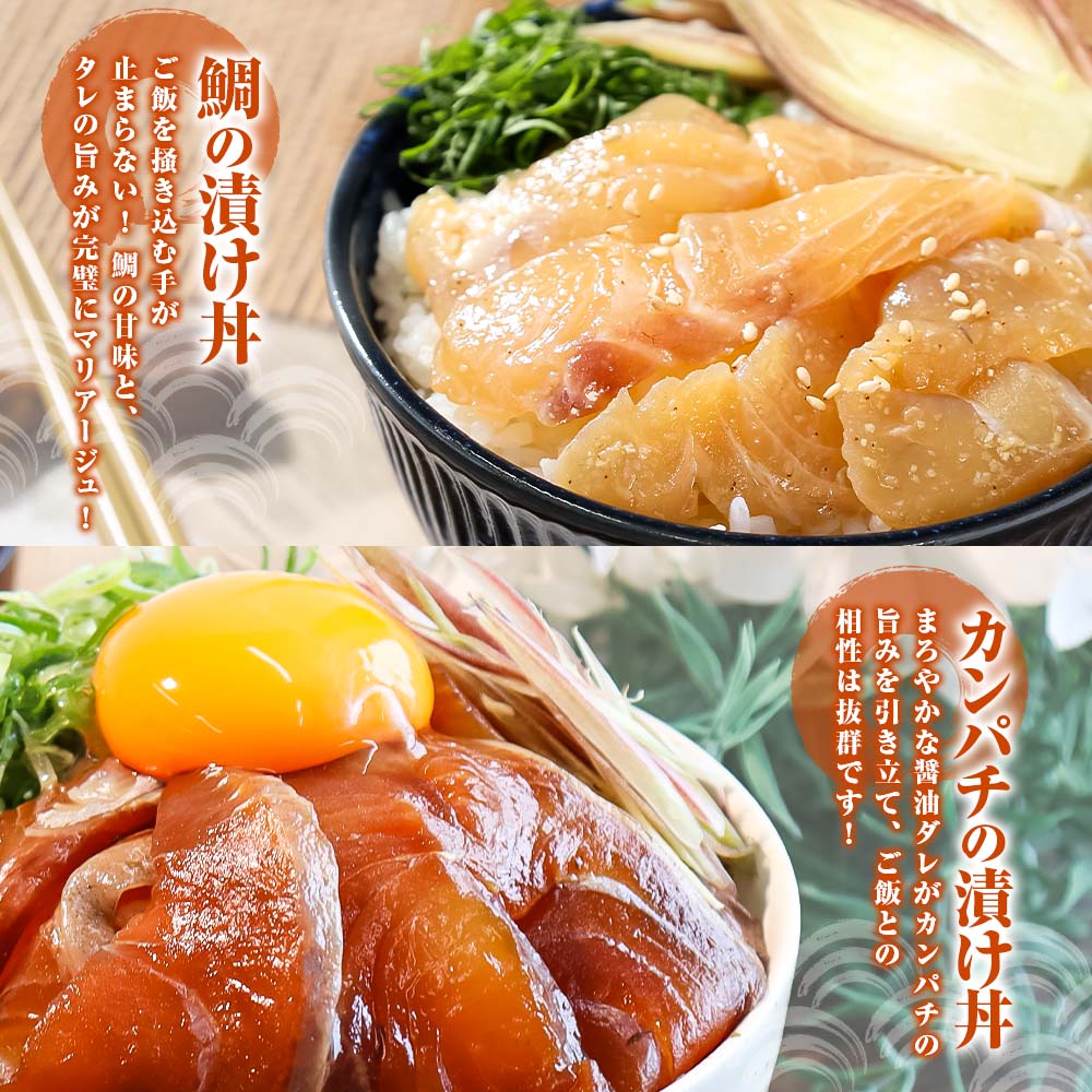 こだわり！土佐の海鮮丼の素５種・各2袋セット