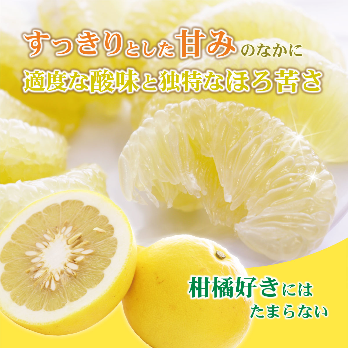【先行予約】土佐文旦（大玉：2L～5L 混合）約5kg 〈2027年2月中旬〜発送〉/ 土佐文旦発祥の地 産地直送 家庭用 贈答用 文旦 5キロ 約7～10玉 大玉 特大 3l 4l ぶんたん ブンタン 柑橘 【株式会社とさもん】
