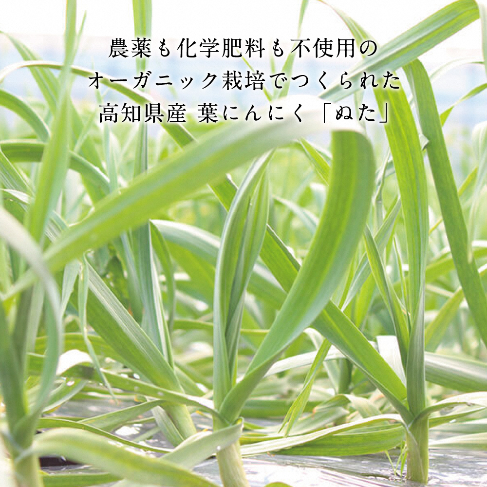 高知厳選１本釣り本わら焼き「高知本気シリーズ　極カツオのタタキ（６～７人前）あの有名番組で紹介された有機無添加土佐にんにくぬた、タレ付き」数量限定