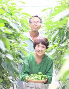 高知県産　植田ファームのこだわりピーマン　5kg　ピーマン ぴーまん 大量 おうちごはん 料理 おかず 大量消費 美味しい おいしい 故郷納税 ふるさとのうぜい 返礼品 高知県 高知 