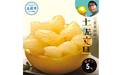 【訳あり】三愛果樹園の土佐文旦　約5kg