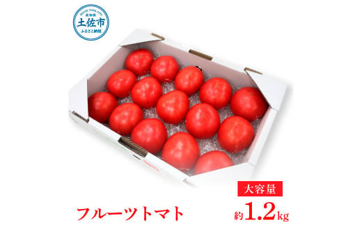 【先行予約】お徳用フルーツトマトＬサイズ 1.2kg・約15玉・Lサイズ〈2027年1月上旬～6月上旬〉 / 糖度8度以上 フルーツトマト ふるーつとまと とまと トマト 箱詰め 甘い 濃厚 高知県 土佐市【池トマト】[BQAG008]