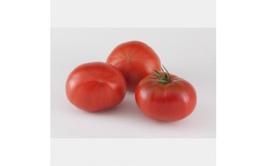 【先行予約】お徳用フルーツトマトＬサイズ 1.2kg・約15玉・Lサイズ〈2027年1月上旬～6月上旬〉 / 糖度8度以上 フルーツトマト ふるーつとまと とまと トマト 箱詰め 甘い 濃厚 高知県 土佐市【池トマト】[BQAG008]