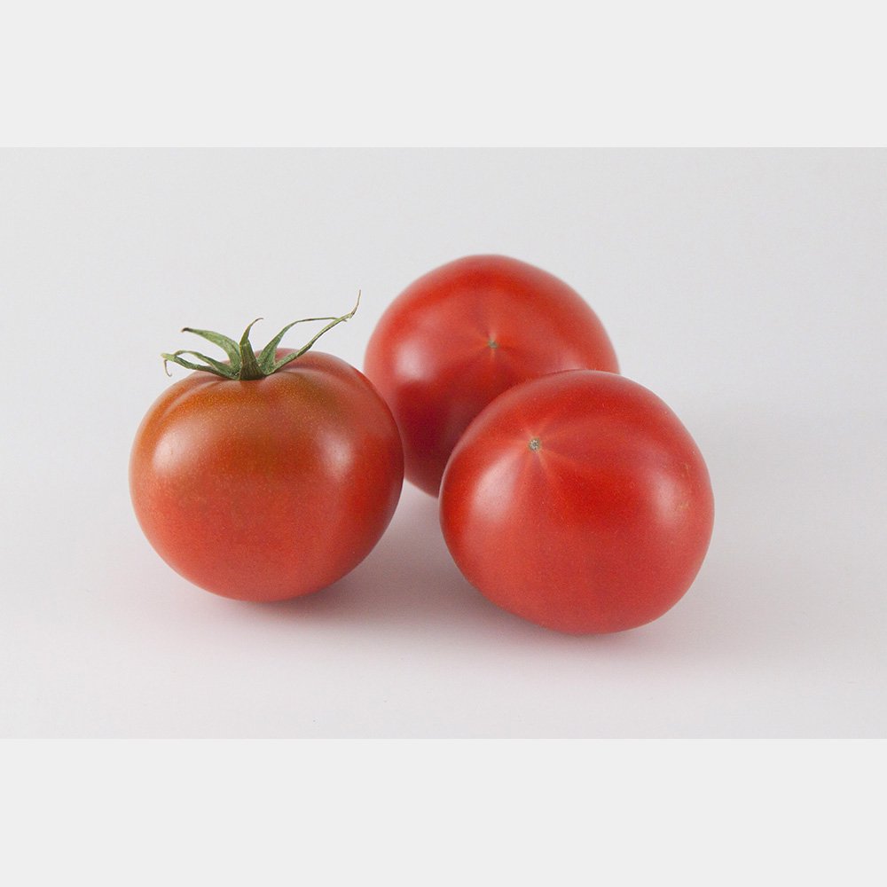＜2026年1月下旬より発送＞濃厚フルーツトマト1kg 糖度8度以上 期間限定 