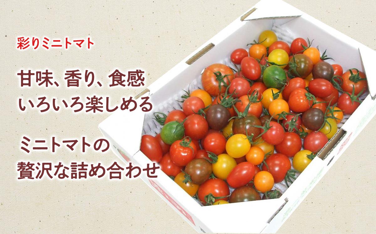 ぎゅぎゅっとフルトマ＆彩りトマトセット  ぎゅぎゅっとフルトマ（金ラベル）1本 ミニトマト1kg（10～14種類）100%トマトジュース 糖度11度以上 詰め合わせ セット 美味しい お取り寄せグルメ 故郷納税 ふるさとのうぜい 返礼品 高知 高知県産