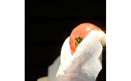 キャンプキッチンクロス 10個セット キッチンクロス キッチンペーパー 厚手 使い捨て 