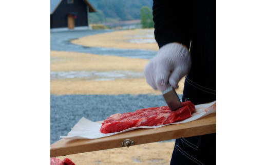 キャンプキッチンクロス 10個セット キッチンクロス キッチンペーパー 厚手 使い捨て 