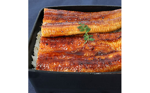 【数量限定！】仁淀川特大肉厚うなぎ5尾セット