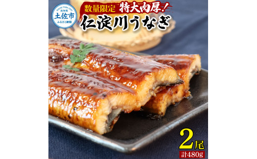 【数量限定】仁淀川特大肉厚うなぎ2尾セット タレ付き うなぎ 鰻 ウナギ 蒲焼き かば焼き 1尾200g超え 仁淀川 国産 太化うなぎ おいしい 人気 冷凍 真空パック 夏