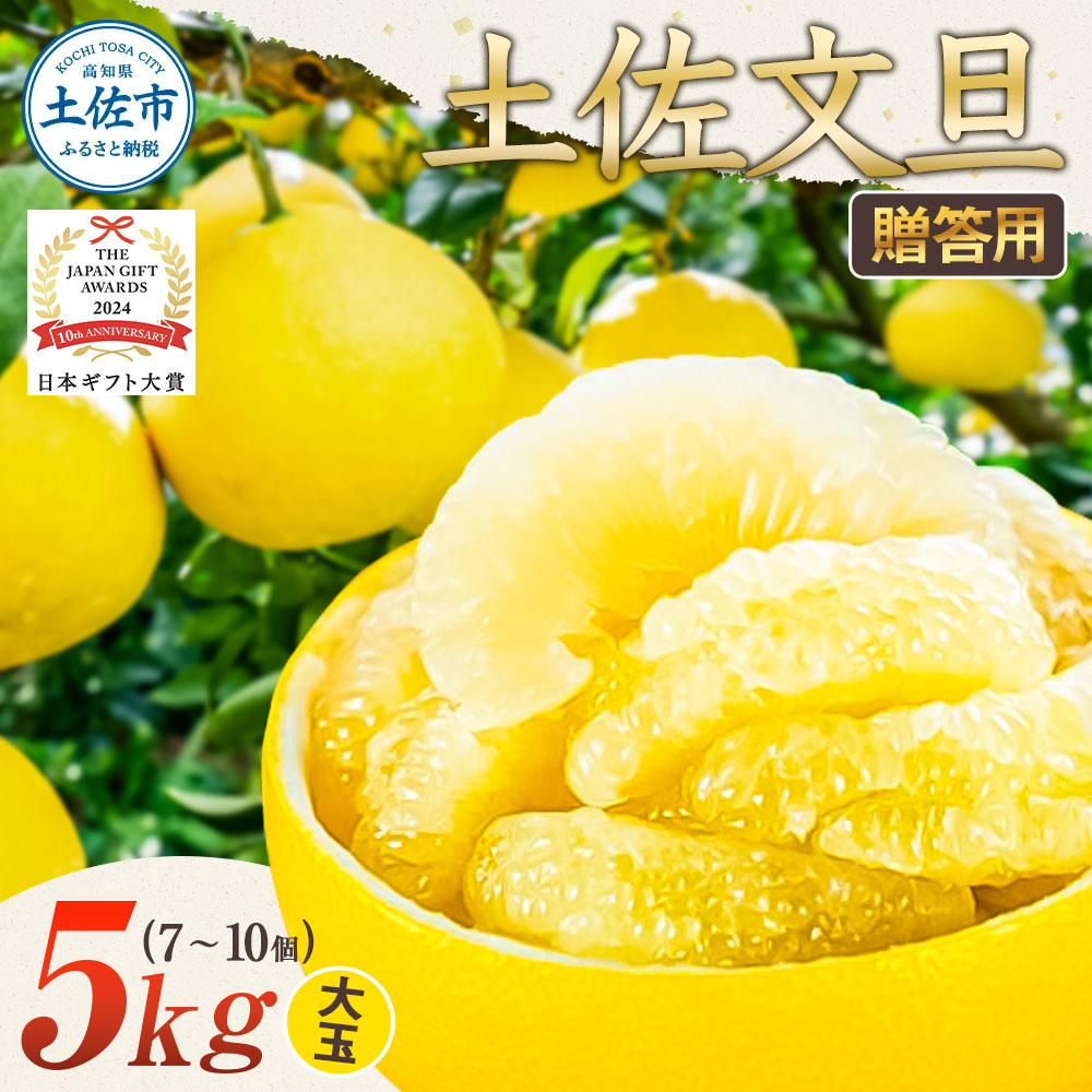 【日本ギフト大賞2024受賞】園主こだわり土佐文旦【化粧箱贈答用：大玉5kg】（3L～2L） 2026年1月下旬より順次発送 ぶんたん ブンタン 柑橘 フルーツ 果物 贈答 ギフト 土佐 高知 やの一果彩