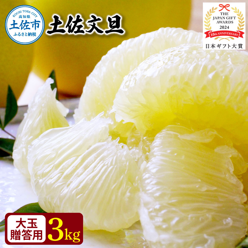 【日本ギフト大賞2024受賞】園主こだわり土佐文旦【化粧箱贈答用：大玉3kg】（3L～2L） 2026年1月下旬より順次発送  やの一果彩