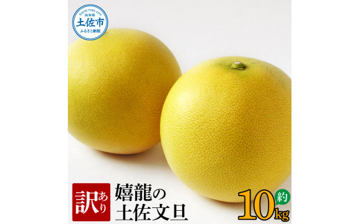 ＜2026年1月下旬より順次発送＞訳あり 嬉龍の土佐文旦 約10キロ L - ４Lサイズ 文旦 ぶんたん ブンタン 柑橘 フルーツ 果物 わけあり わけアリ 傷 シミ 美味しい 高知県産