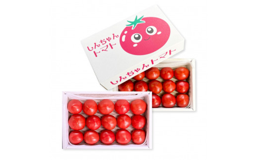 ＜先行予約＞ 糖度9度以上 フルーツトマト しんちゃんトマト 750g×2箱 合計約1.5kｇ (小 - 大玉サイズ 18 - 30個×2箱) トマト 高糖度 高知県産 ふるーつとまと 甘い 美味しい 