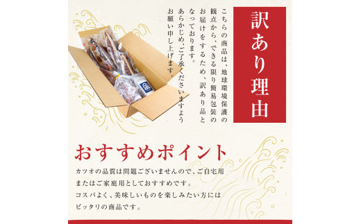 訳あり 藁焼き鰹タタキ 塩・たれ食べ比べ 4節800g 小分け 鰹タタキ かつおのたたき カツオのタタキ カツオのたたき 訳アリ わけあり 訳 高知 土佐 本場 不揃い 規格外 故郷納税 ふるさとのうぜい 返礼品 高知県 高知 夏