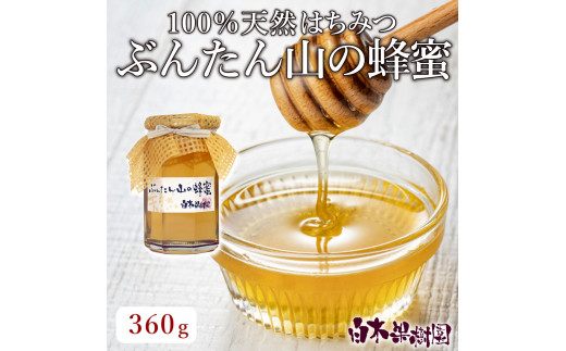 爽やかな香り広がる100%天然蜂蜜 ぶんたん山の蜂蜜 360g はちみつ ハチミツ 高知県産 国産 天然はちみつ 土佐 高知 【白木果樹園】