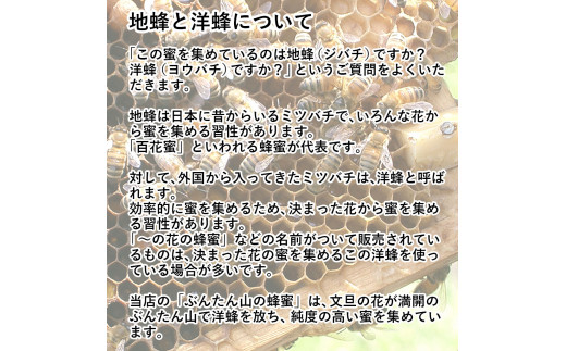 爽やかな香り広がる100%天然蜂蜜 ぶんたん山の蜂蜜 360g 【白木果樹園】