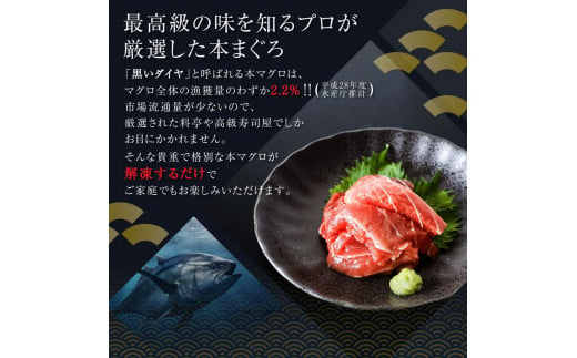 訳あり 本鮪端材切り落し100g 鮪 マグロ まぐろ 切り落とし 端材 ワケあり 大トロ 中トロ 赤身 お刺し身 刺身 海鮮丼 漬け丼 海鮮 丼 本マグロ 不揃い 冷凍 簡易包装 冷凍配送