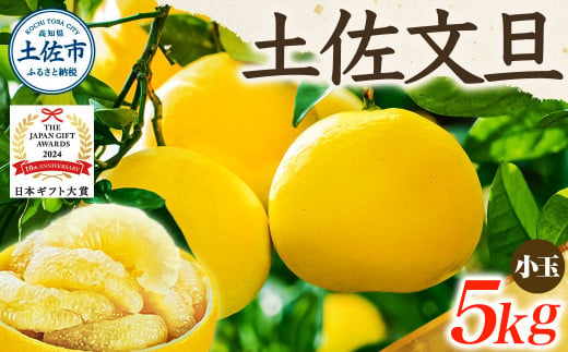 【日本ギフト大賞2024受賞】【先行予約】文旦 小玉 5kg（L～M）2026年1月下旬より順次発送