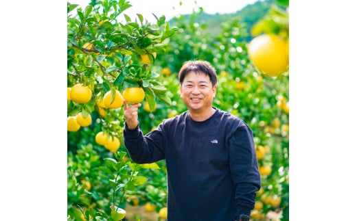 【日本ギフト大賞2024受賞】園主こだわりの土佐文旦 7キロ 大小混合（４L - Mサイズ） 2026年1月下旬より順次発送 やの一果彩