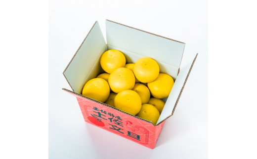 〈3回定期便〉園主こだわりの土佐文旦 10キロ（18 - 24玉） 2月 - 4月にお届け！ 先行予約 定期コース 3ヶ月 