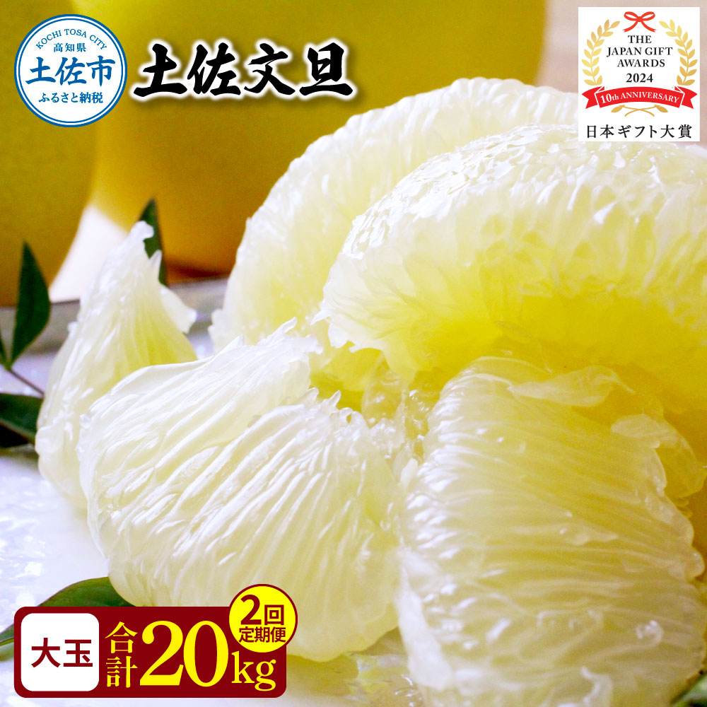 〈2回定期便〉園主こだわりの土佐文旦 10キロ（18 - 24玉） 2月・3月にお届け！ 先行予約 定期コース 2ヶ月