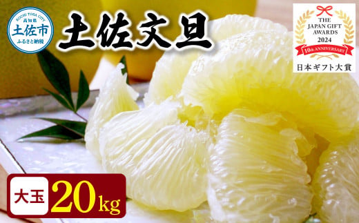 【日本ギフト大賞2024受賞】先行予約 園主こだわりの土佐文旦 20キロ（10キロ：18 - 24玉×2箱） 2026年1月下旬より順次発送 やの一果彩