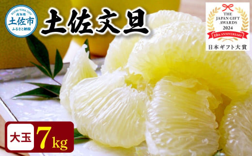 【日本ギフト大賞2024受賞】先行予約 園主こだわりの土佐文旦 7キロ（12 - 17玉） 2026年1月下旬より順次発送 ぶんたん ブンタン 柑橘 フルーツ 果物 家庭用 お取り寄せ 土佐 高知 やの一果彩
