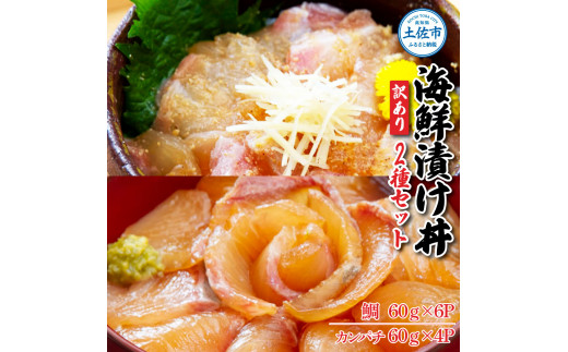 訳あり海鮮漬け丼（タイ6P・カンパチ4P）セット 漬け丼 漬け 鯛 かんぱち 勘八 白身魚 食べ比べ 海鮮 魚 冷凍 食品 保存食 小分け 高知 土佐 海鮮丼 漬け丼 ぶっかけ 鯛めし 惣菜 そうざい 訳アリ わけあり 不揃い 規格外 故郷納税 返礼品