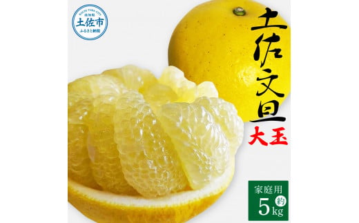 土佐文旦 家庭用 約5キロ（2L～4Lサイズ混合：8玉～12玉） 大玉 先行予約 数量限定