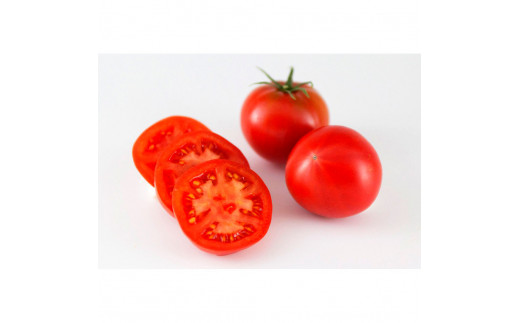 ＜2026年1月下旬より発送＞フルーツトマト特選ギフト約500g 