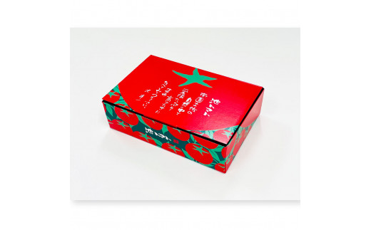 ＜2026年1月下旬より発送＞フルーツトマト特選ギフト約500g 