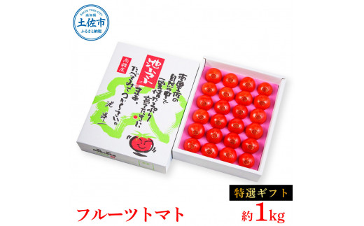 【先行予約】フルーツトマト特選ギフト約1kg <2027年1月〜発送> /  特Aランク トマト フルーツトマト 池トマト 糖度10度以上 高糖度 高知県産 ギフト 箱入り 贈答用 贈り物 健康【池トマト】[BQAG026]