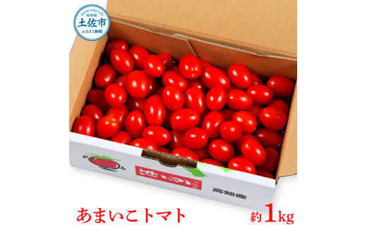 【先行予約】あまいこトマト 約1kg <2027年1月〜発送> / トマト ミニトマト フルーツトマト 糖度7～8度 高知県産 アイコ アイコトマト 健康 酸味控えめ 美味しい【池トマト】[BQAG025]