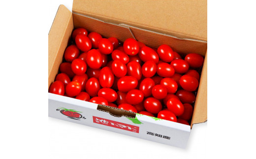 ＜2026年1月下旬より発送＞あまいこトマト 約1kg 