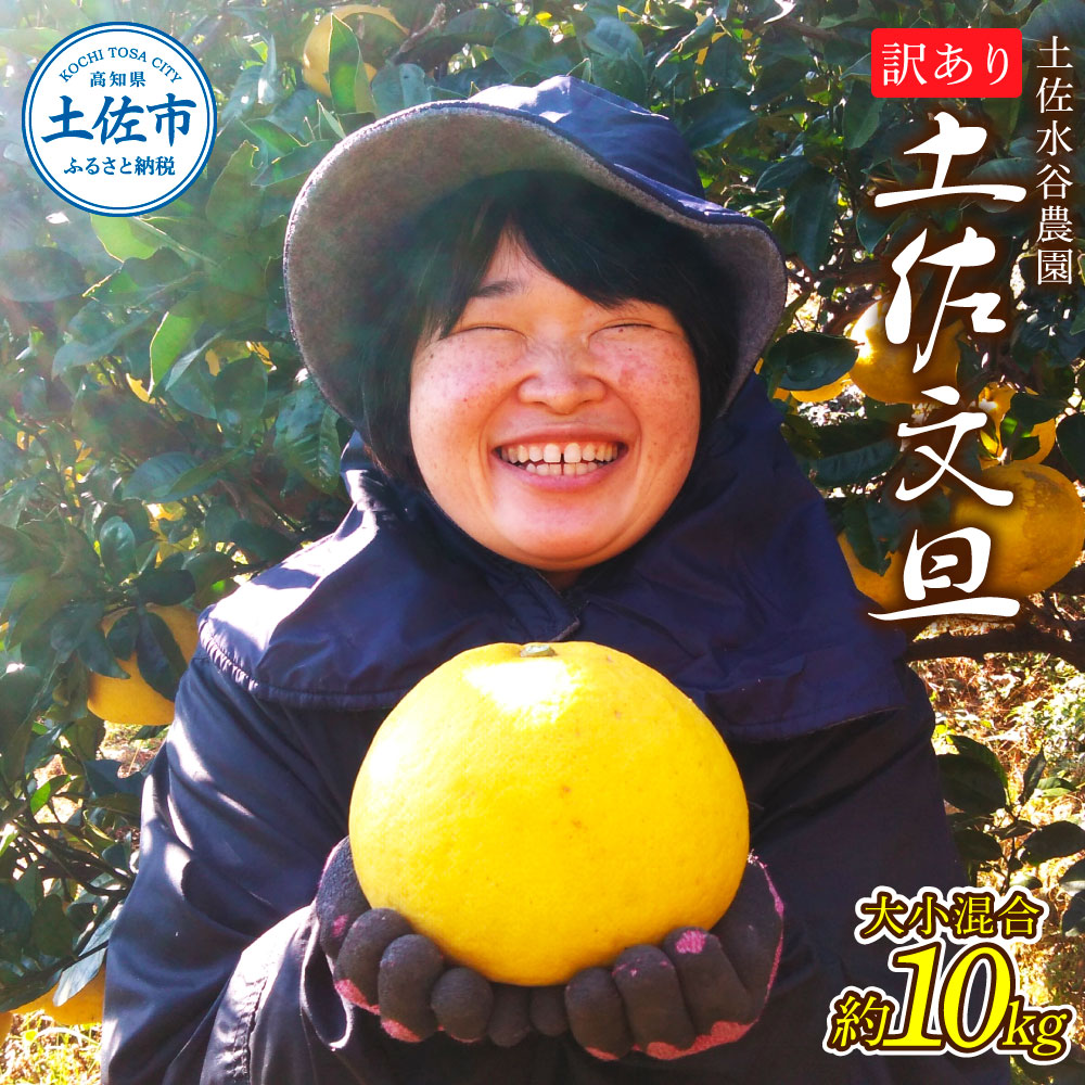 本場、高知県土佐市産！土佐水谷農園の露地土佐文旦 家庭用10キロ 10kg 大小混合（L - 上限なし：16玉前後） 訳あり 文旦 ぶんたん ブンタン 土佐文旦 ご自宅用 柑橘 フルーツ 果物 土佐 高知