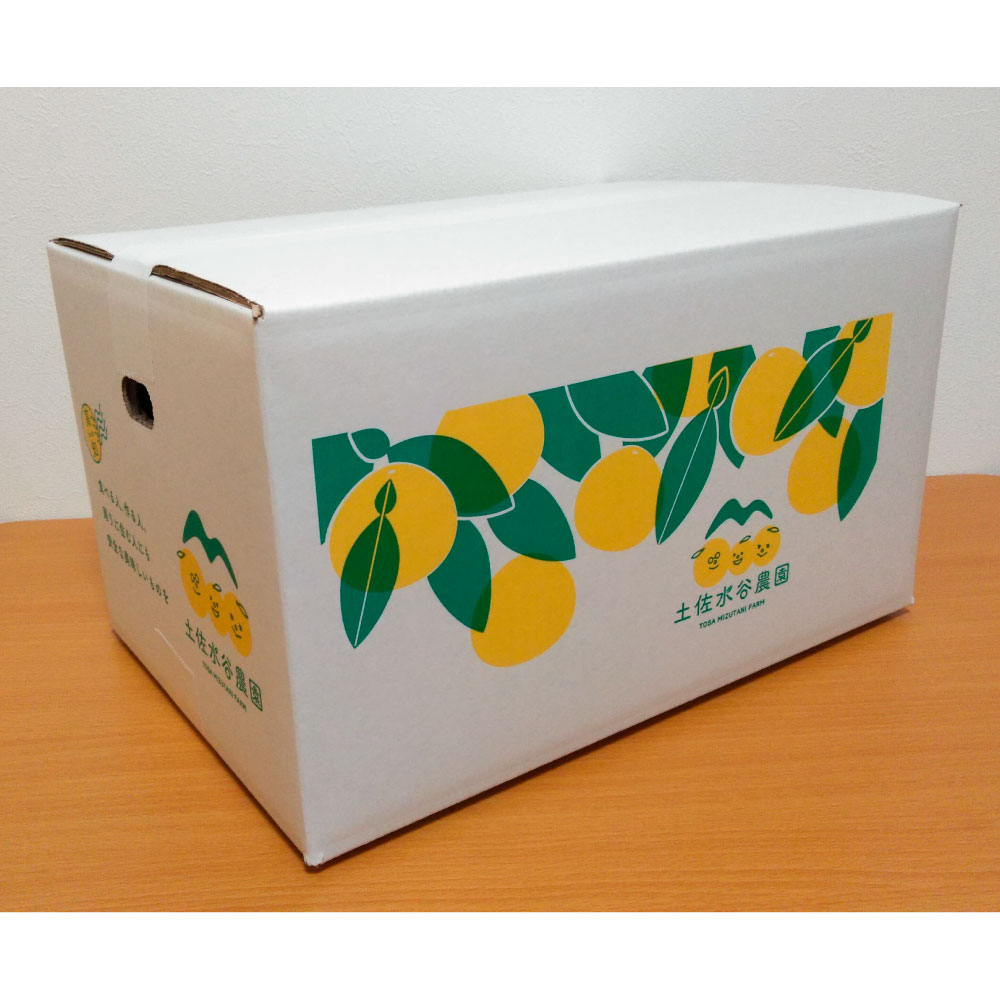 土佐水谷農園の露地土佐文旦 家庭用約5キロ 大小混合（L - 上限なし：8玉前後） 訳あり 
