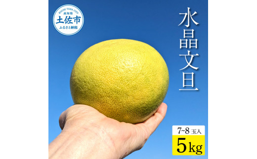 土佐市産 水晶文旦 約5kg (7～8玉）文旦 ぶんたん ブンタン すいしょうぶんたん ハウス栽培 甘い 高級 果物 柑橘 フルーツ 果物 ご当地 お取り寄せ ５キロ 贈答 ギフト