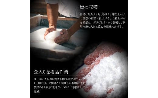 銀象ソルト Ginzo-Salt 星屑ソルト 100g 塩 しお 調味料 天日塩 完全天日塩 国産 高知県産 ソルト ミネラル 健康 料理 調理 お塩 塩 美味しい 天然 塩 高知県【塩杜氏銀象】 [BQBX006]