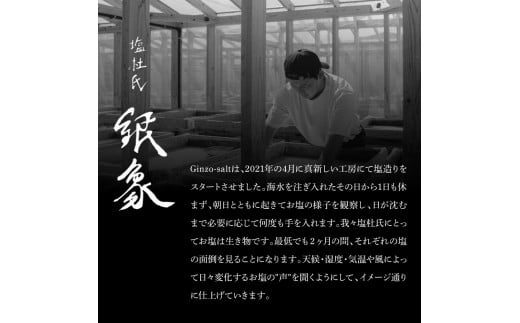 銀象ソルト Ginzo-Salt Standard 100g