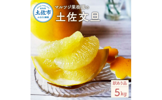 マルツジ果樹園の土佐文旦訳あり品(約5kg) 訳あり 文旦 土佐文旦 ぶんたん ブンタン 期間限定 数量限定 2L〜4Lサイズ 7〜11個 果物 柑橘 フルーツ 高知県産[マルツジ果樹園] [BQAN005]