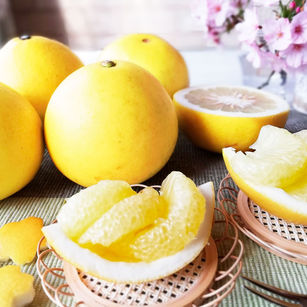 【先行予約受付】文旦 約10kg 大玉 家庭用 サイズ3L 16～18個 産 ご自宅用