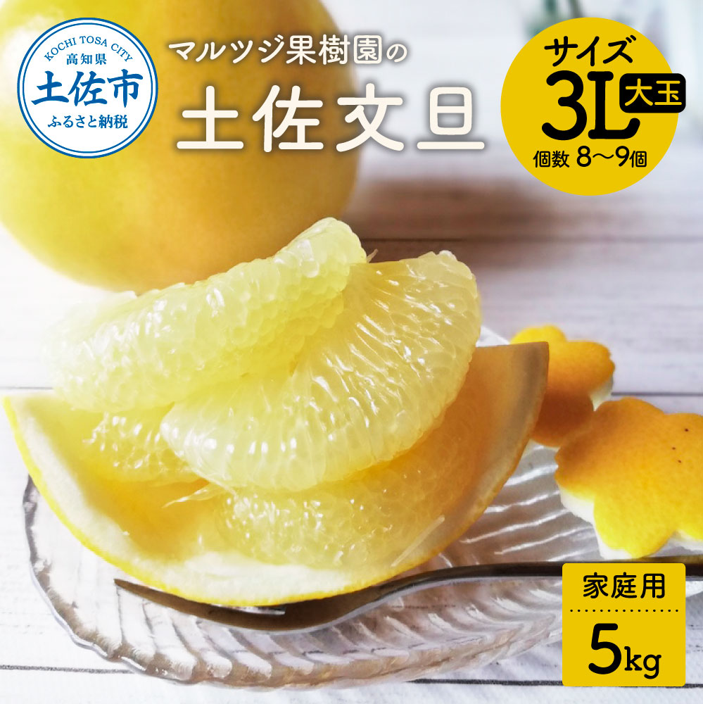 【先行予約受付】文旦 土佐文旦 ぶんたん ブンタン 期間限定 数量限定 約5kg 3Lサイズ8～9個 果物 柑橘 フルーツ 高知県産 家庭用 ご自宅用 傷 変形 美味しい おいしい  春 旬