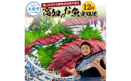 ＜12回定期便＞違いの分かる鮮魚店店長が送る 高知のお魚定期便！！お申込翌月より12回お届け